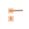 CE -16-